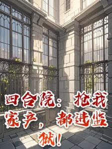 四合院:抢我家产,都进监狱!