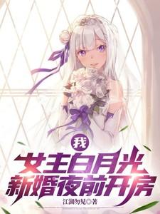 我,女主白月光,新婚夜前开房