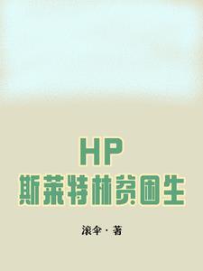 HP:斯莱特林贫困生