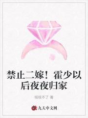 禁止二嫁!霍少以后夜夜归家