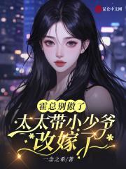 霍总别傲了,太太带小少爷改嫁了
