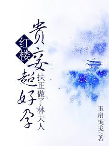 红楼贵妾超好孕,扶正做了林夫人