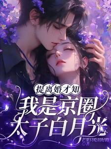 提离婚才知,我是京圈太子白月光