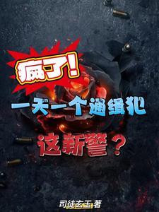 疯了!一天一个通缉犯,这新警?