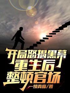 开局怒揭黑幕,重生后整顿官场