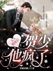 夫人假死后,贺少他疯了