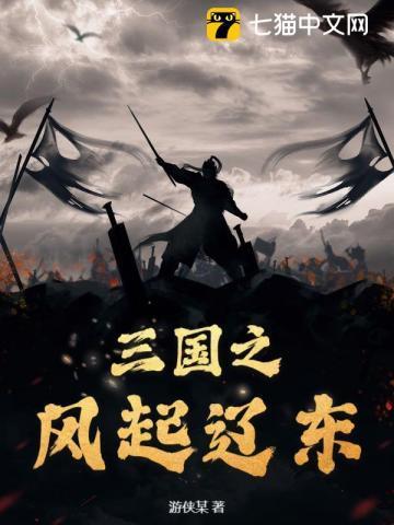 三国之风起辽东