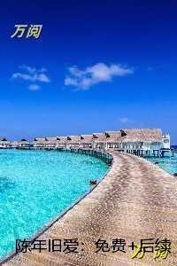 陈年旧爱：免费+后续