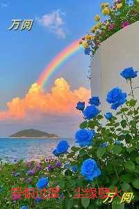 爱恨过渡，尘缘孽火：+结局+畅读