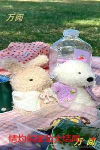 情灼似星坠：完整版在线阅读