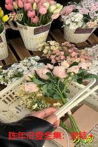 陈年旧爱纯净无弹窗版