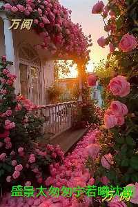 盛景太匆匆宁若曦沈砚舟：人气小说