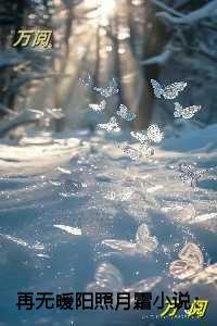 再无暖阳照月霜爆款宝藏