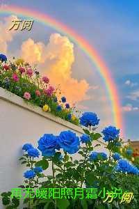 再无暖阳照月霜:精品推荐