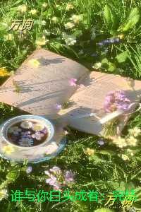 谁与你白头成眷：完结+后续