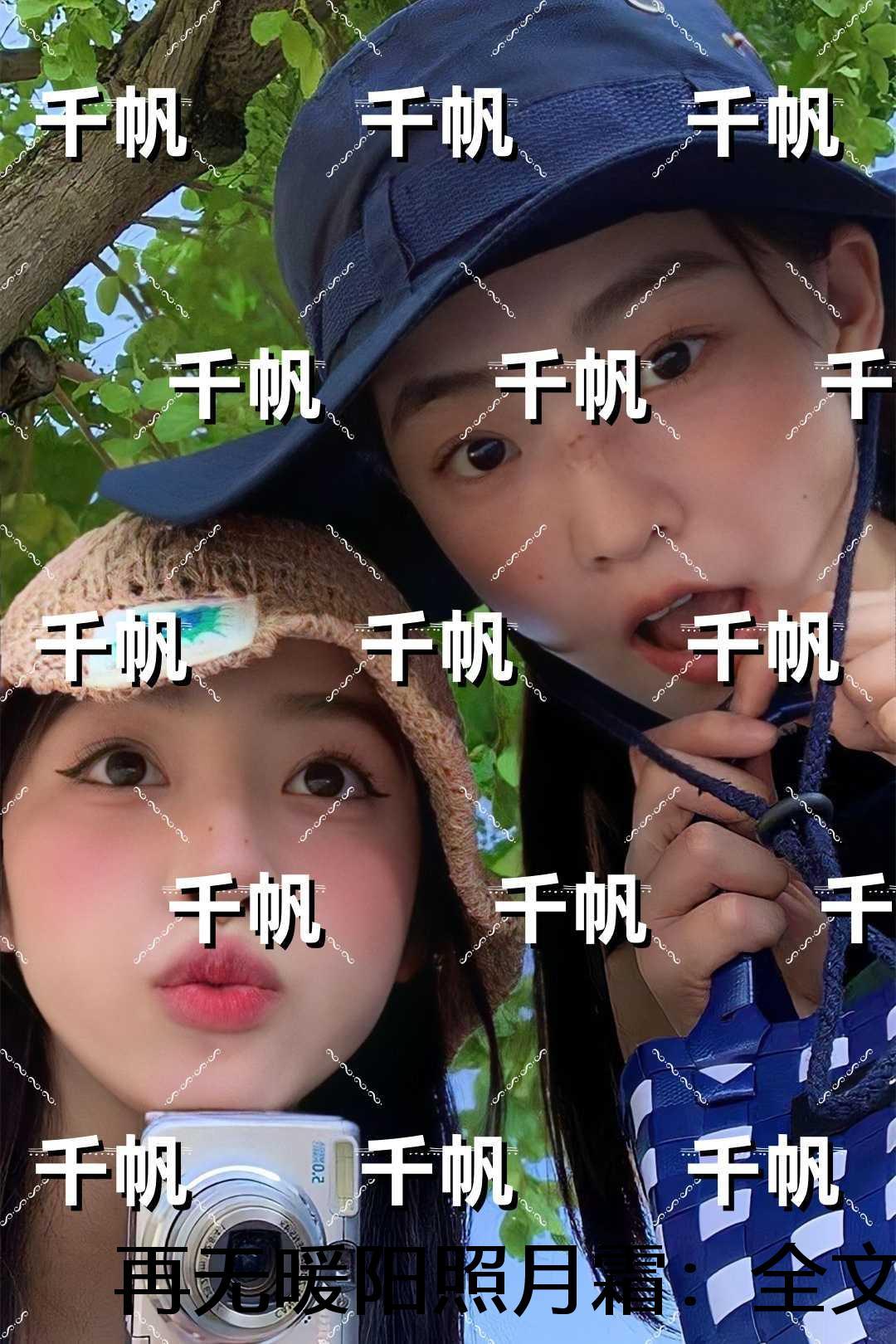 再无暖阳照月霜:结局+番外必读文