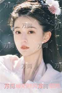 再无暖阳照月霜:免费