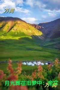 月光葬在旧梦中