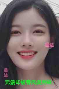 无端却被春风误优质全章