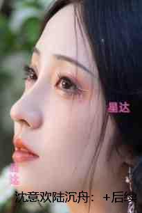 沈意欢陆沉舟:小说