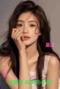 沈意欢陆沉舟：全文阅读