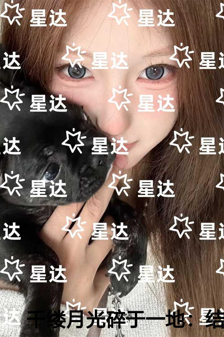 千缕月光碎于一地文章简述