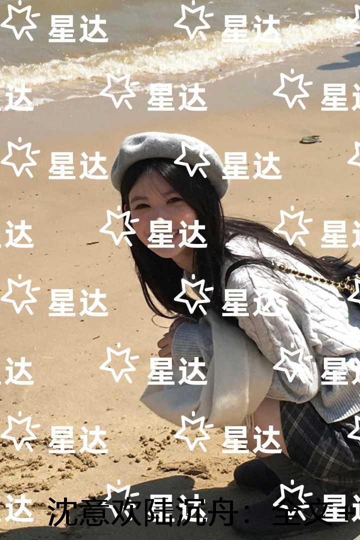 沈意欢陆沉舟：小说免费阅读