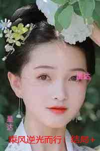 乘风逆光而行：完结分享