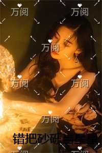 错把砂砾当星星完整版全文在线