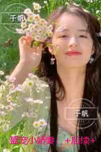 盛宠小娇妻：全集