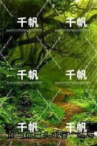 谁与你白头成眷：结局+番外