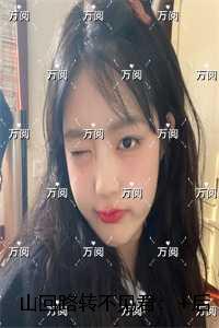 山回路转不见君:良心推荐