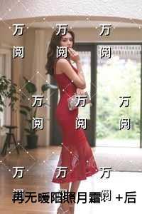 再无暖阳照月霜优质全章