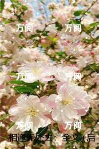 相逢无处去：完结版