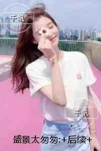 盛景太匆匆:后续全文免费阅读