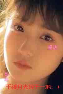 千缕月光碎于一地