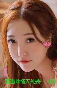 莫道此情无处寄:言情作品