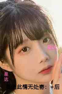 莫道此情无处寄