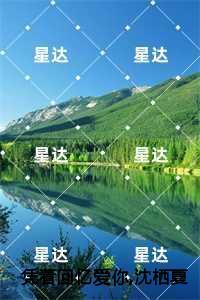 凭着回忆爱你，沈栖夏