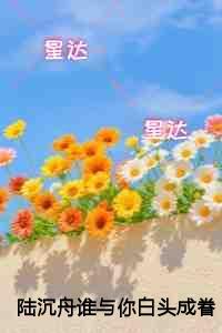 陆沉舟谁与你白头成眷