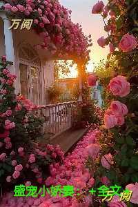 盛宠小娇妻高质量好文