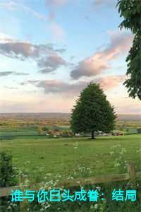 谁与你白头成眷全文赏析