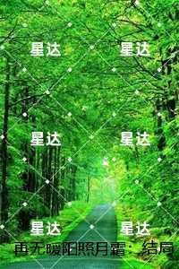 再无暖阳照月霜:结局+番外+续集高质量好文