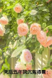 死后五年我沉冤得雪