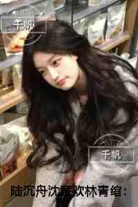 陆沉舟沈意欢林青绾