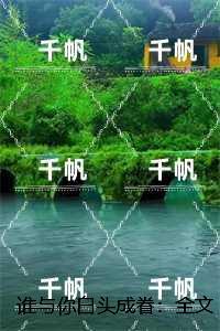 谁与你白头成眷:结局+番外高口碑