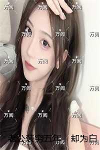 老公装穷五年，却为白月光点天灯：全集免费阅读