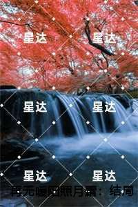 再无暖阳照月霜完结全本