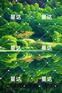 沈意欢陆沉舟：精修版