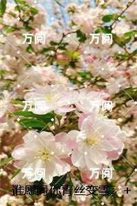 谁愿同你青丝变雪:结局+番外爽文